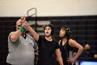 Wrestling Girls 12-1
