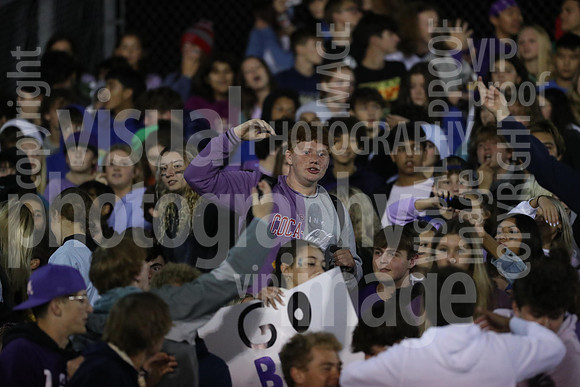 sps_0079_1010969416
