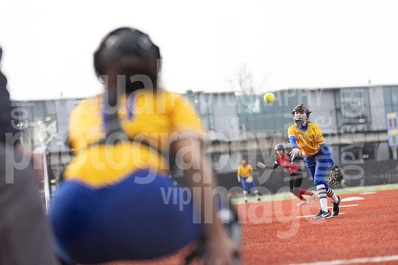 sps_0088_1008464446