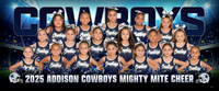 mighty_mite_chr