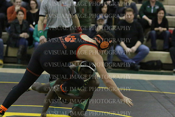 LBHS_009