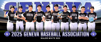 major_whitesox