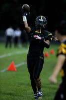 BDHS_006