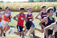 LTHS24_XC_013