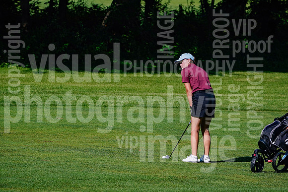 sps_0034_1010157124