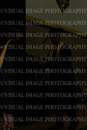 HINS_049
