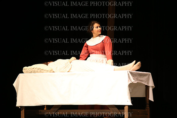 HINS_0039