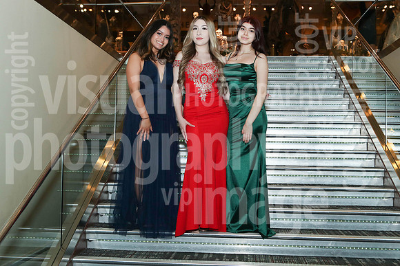 sps_0101_1008960311
