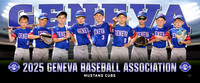 mustang_cubspsd