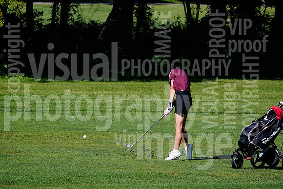 sps_0035_1010157129