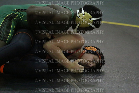 LBHS_015