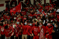 sps_0019_1008260577