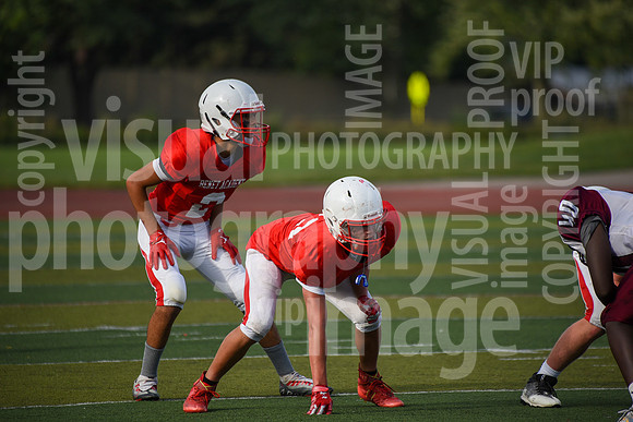 sps_0017_1010381866