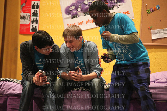 HINS_0004