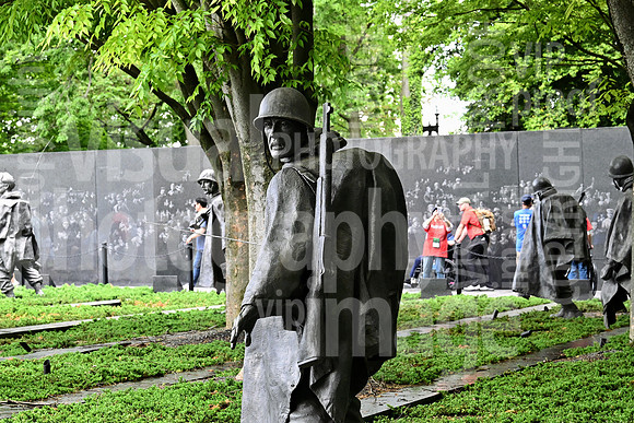 sps_0548_1043419655
