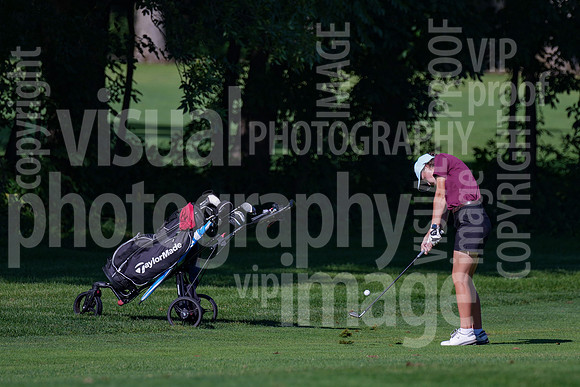 sps_0039_1010157156
