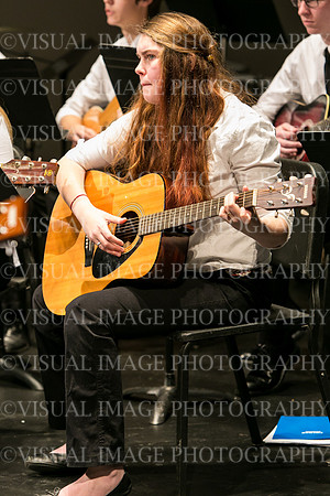 HWFM-Guitar_0020