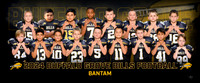 bantam_pp