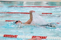 sps_0001_1008253259