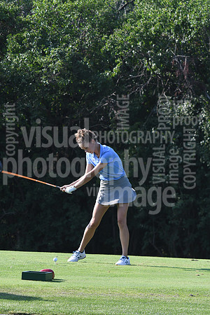 sps_0398_1010094011