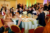 sps_0043_1037163915