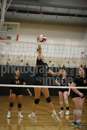 sps_0022_1011010388