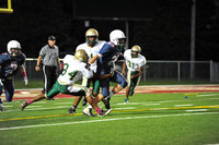 SVHS_013