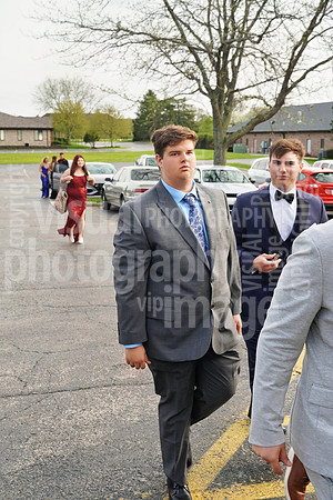 sps_0033_1036709519