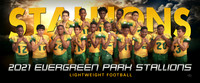 lightweight_fb