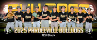 12uBlack